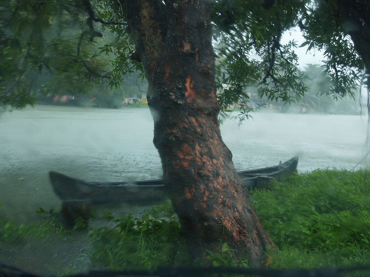 Monsoon in Kumarakom, Kerala